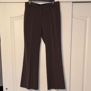 EXPRESS Editor Women's Pants